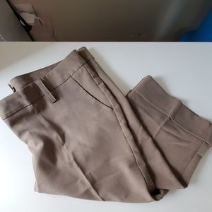 Business casual Bermuda length dress pants khaki
